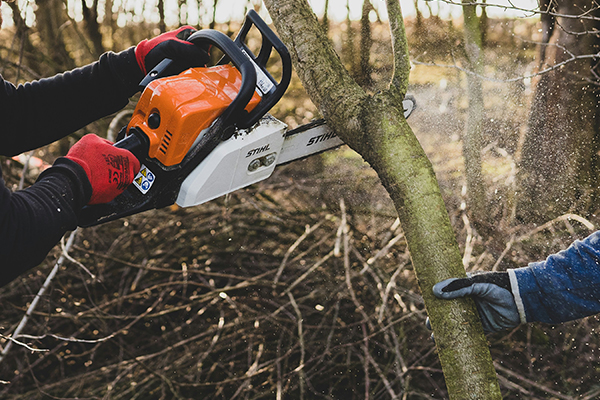 Abattage et élagage avec Fantoni Espace Vert